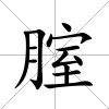 腟
