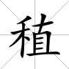 稙
