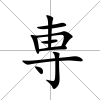 専