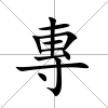 專