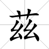 茲