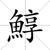 鯙