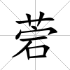菪