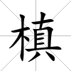 槙