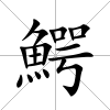 鰐