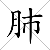 肺