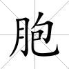 胞