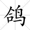 鴿