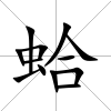 蛤