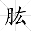 肱