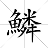 鱗